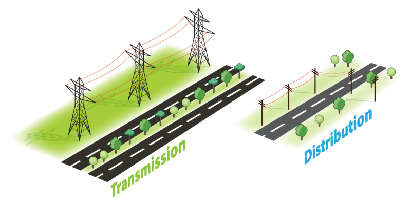 Diagram showing the visual difference between electricity transmission lines and distribution lines.